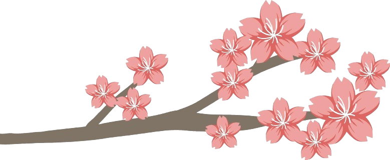 cherry-blossom-or-sakura-branch-isolated-free-vector-removebg-preview